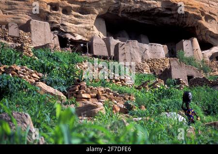 Irelli, Bandiagara Escarpment, Dogon Country, Mali Stock Photo