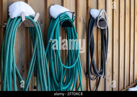 Coiled garden hoses lined up along a wooden barn, fresh snow on top of them from a storm the night before, Toronto, Ontario, Canada. Stock Photo