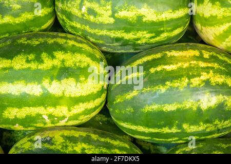 A Lot Of Big Sweet Green Organic Watermelons In The Farmers turkish market in Antalia, Turkey. Nutrition And Vitamins. Healthy Raw Food Stock Photo