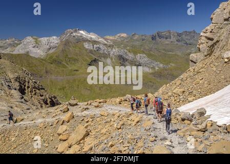 Vignemale peak and glacier seen from Col de Sarradets mountain pass in summer (Pyrenees National Park, Gavarnie, Midi-Pyrénées, Occitanie, France) Stock Photo