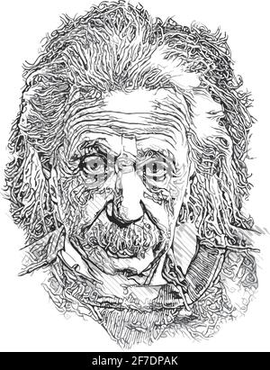 Albert einstein vector illustration on white background Stock Vector