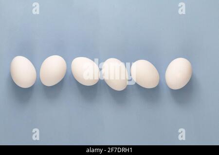 group of white chicken eggs on light blue background, empty space for text Stock Photo