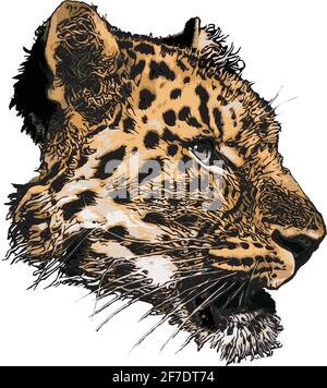 leopard head vector illustration on white background Stock Vector
