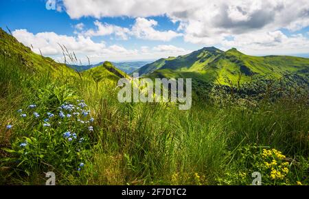 Panoramic landscape of volcanic mountains (view from Puy Mary, Massif Central, France)