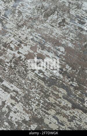 Background from a stylish carpet in neutral gray-beige tones with fading and artificial antiquity effect. Concept details of a fashionable interior, c Stock Photo