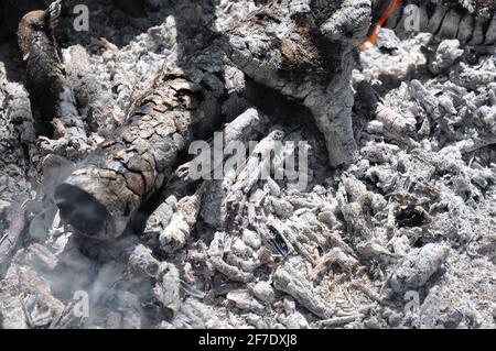 The ashes and charcoal from the fire, background. Stock Photo