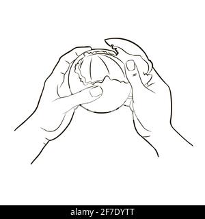 Hands, peel the orange peel by removing the orange peel from the pulp, top view.Vector illustration in sketch style, black and white isolated line art Stock Vector