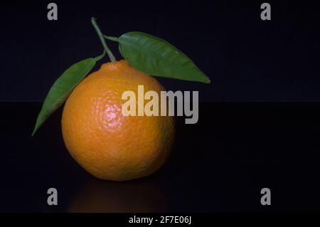 A close up of a ripe tangerine with two green leaves and dark background and copy space Stock Photo