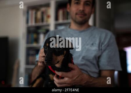 Man in gray shirt holding a black puppy wearing a red harness Stock Photo