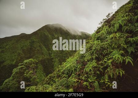 Mystical morning view of green cliffside in O'ahu Stock Photo