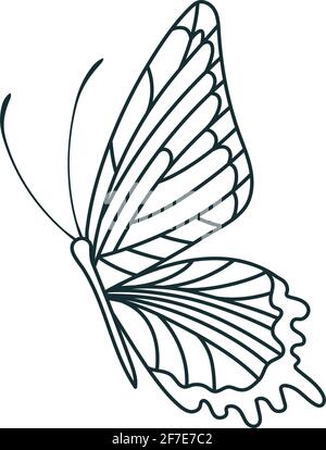 Butterfly Tattoo Craft Set – IMAGELLA