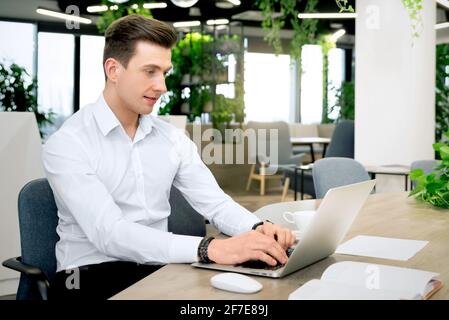 Businessman working in the office. Modern office interior in the background Stock Photo
