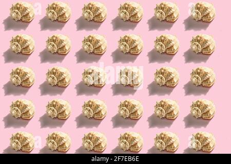 Seashells pattern on the pink background. Vacation concept, sea card. A trendy hard light, dark shadow, flat lay, mockup, template Stock Photo