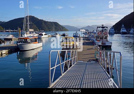 Charter Fishing Boats and Water Taxis, early morning, Picton, New Zealand in Autumn Stock Photo