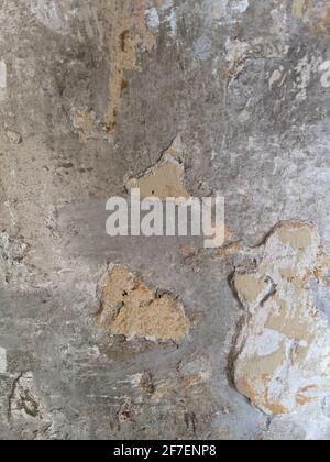 texture of gray concrete wall. stone background, mobile photo Stock Photo