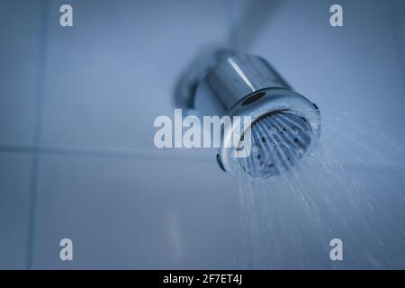 Dirty shower head wirth spraying water out of it. Dirty shower in a bathroom, lime or limestone residue visible around the nozzles. Stock Photo