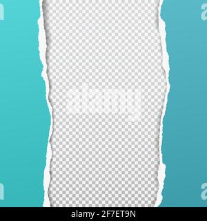 Torn, ripped vertical turquoise paper strips with soft shadow are on squared background for text. Vector illustration Stock Vector