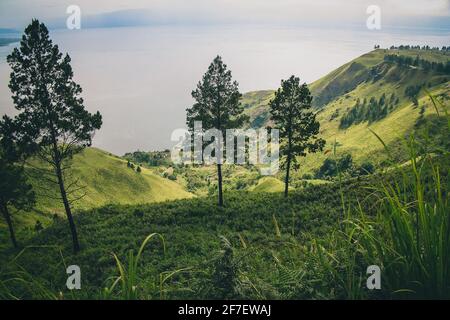 Panorama of lake Toba on the island of Sumatra, wieved from the road towards Medan on a cloudy day. Trees in the foreground. Stock Photo