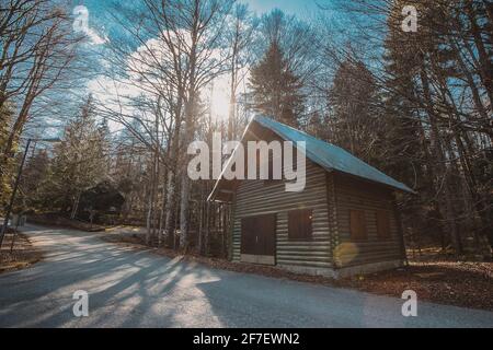 Entrance to Baza 20, army barracks or cottages hiding in the depths of forest at Kocevje or Kocevski rog. Partisan hideout in Slovenia called Baza 20 Stock Photo