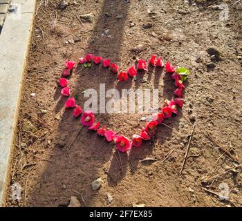 Scenery of haeundae beach, Busan, South Korea, Asia Stock Photo