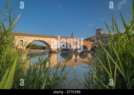 view of the famous Ponte Pietra in Verona, rising above the river of Adige in Italy on early afternoon with leaves in the foreground. Long exposure da Stock Photo