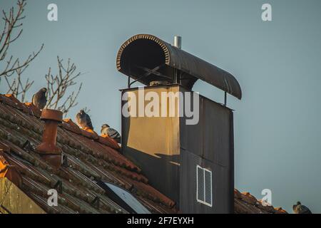 Chimney with protection against rain on top and some pigeons sitting on the roof. Stock Photo