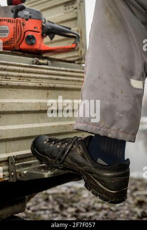 A person is stepping up on a step on the back of a pickup truck. Red chain saw in the background. worker stepping up, closeup on the shoe. Stock Photo