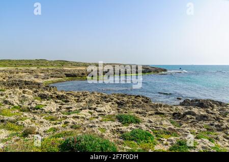 View of the beach, coves and sandstone cliffs in HaBonim Beach Nature Reserve, Northern Israel Stock Photo