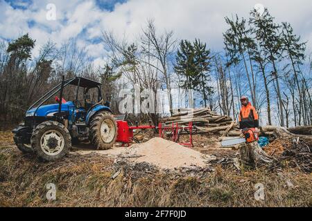 A chainsaw operator is standing next to a tree trunk and a big orange chainsaw. Protective equipment is used, such as helmet, pants and a vest. Forest Stock Photo