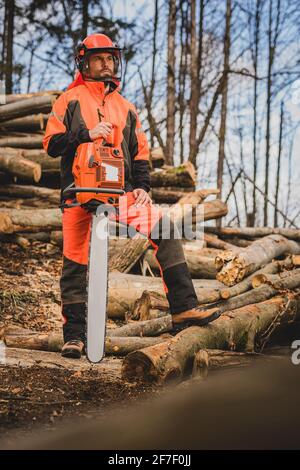 A chainsaw operator standing next to a tree trunk, posing with a big orange chainsaw. Protective equipment is used, such as helmet, pants and a vest. Stock Photo