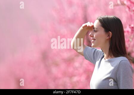 Side view portrait of a happy woman searching looking away protecting from sun with her hand in a pink flowered field Stock Photo