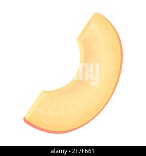 Slice peach fruit. Can be used for healthy diet, harvest natural eco food concept. Stock vector illustration in realistic cartoon style Stock Vector