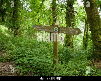 A footpath signpost to Heddon’s Mouth and Lynton on the South West Coast Path at Woody Bay in Exmoor National Park, North Devon, England. Stock Photo