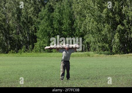 Strong man in hiking clothes is walking through green field and carrying large heavy log from forest on his shoulders. Preparation for making campfire Stock Photo