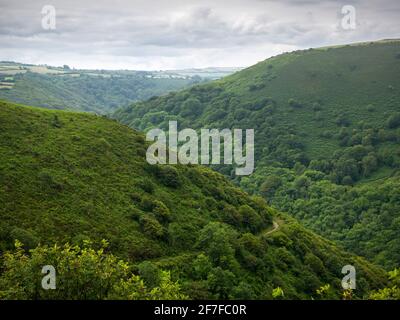 The Heddon Valley and Heddon’s Mouth Cleave from above Hill Brook near Trentishoe in the Exmoor National Park, North Devon, England. Stock Photo