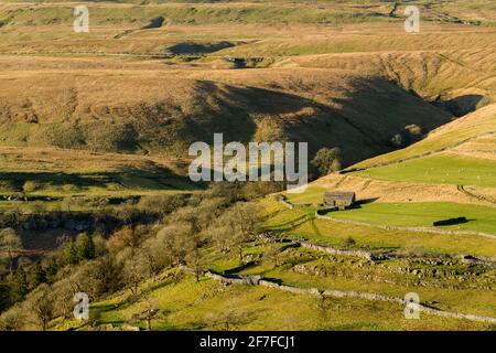 Scenic sunny Wharfedale landscape (upland fells, stone barn, steep hillside, limestone walls, sheep grazing pastures) - Yorkshire Dales, England, UK.