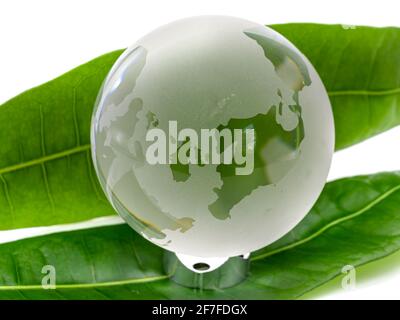 Glass world globe on white background with green leaves Stock Photo