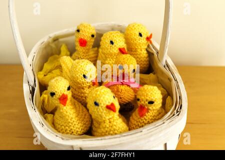 Cute knitted chicks containing chocolate eggs in an Easter basket Stock Photo