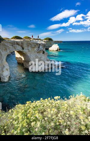 Tourists admiring the sea from natural stone arch on cliff, Torre Sant'Andrea, Lecce province, Salento, Apulia, Italy, Europe Stock Photo