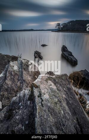 Muckross Lake at dawn, Killarney, County Kerry, Munster, Republic of Ireland, Europe Stock Photo