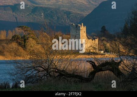 Ross Castle in the evening sunlight, Killarney, County Kerry, Munster, Republic of Ireland, Europe Stock Photo