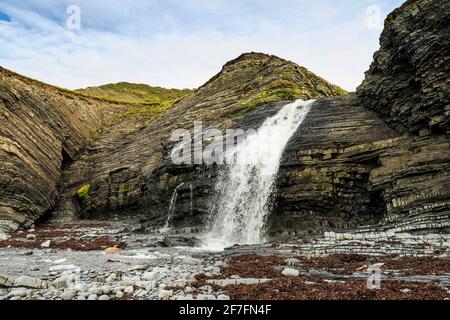 Unusual beach waterfall where the Afon Drywi tumbles over Silurian Grits into Little Quay Bay, New Quay, Ceredigion, Wales, United Kingdom, Europe Stock Photo