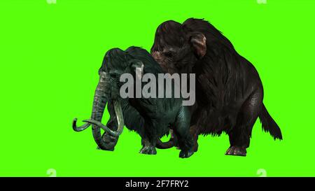 3D Rendering -  Mammoths Attacks Side on  Green screen Stock Photo