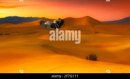 Image of a vulture bird flying over desert sands Stock Photo