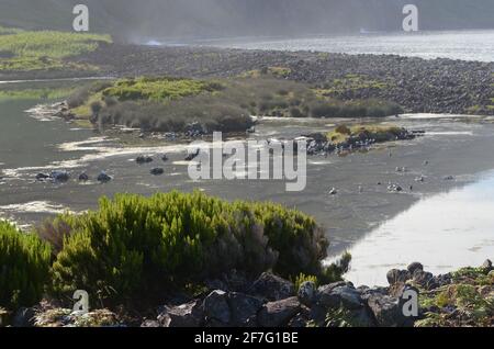 Faja dos Cubres coastal lagoon in the Fajas de Sao Jorge Biosphere Reserve, Azores archipelago Stock Photo