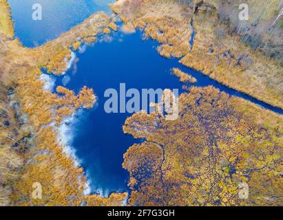 Aerial view of the swamp with trees in the spring. The concept of environmental protection, clean air and ecology. Wetlands are shrinking Stock Photo