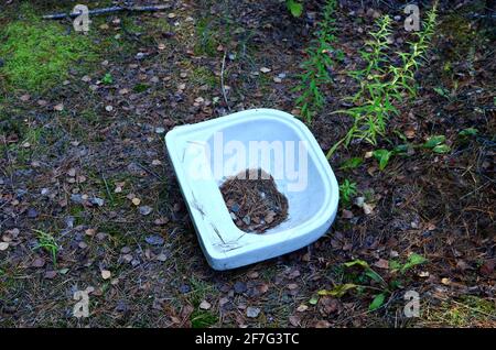 An old ceramic washbasin thrown out in the forest. Environmental pollution concept Stock Photo