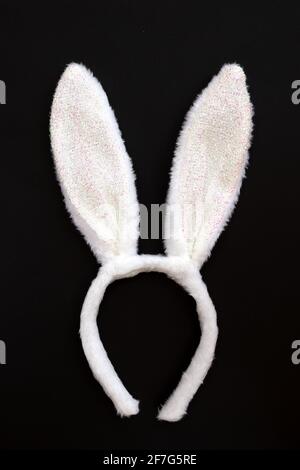Fluffy bunny ears isolated on black background. Symbol Happy Easter Flat lay Copy space. Stock Photo