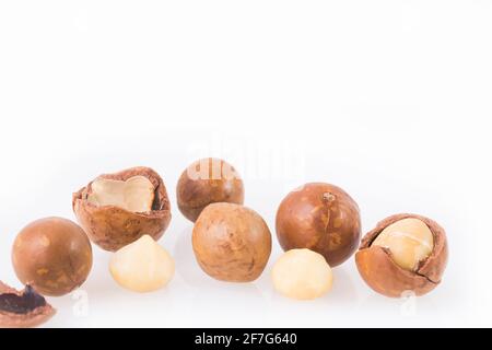 Macadamia nuts on white background - Macadamia integrifolia Stock Photo