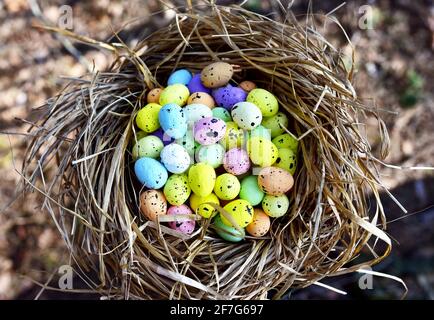 Easter Birds hotsell